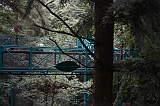 Boomkroonpad_003