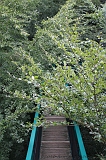 Boomkroonpad_037