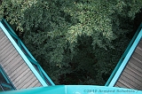 Boomkroonpad_046