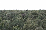 Boomkroonpad_047