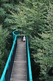 Boomkroonpad_051