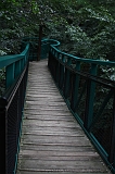 Boomkroonpad_053