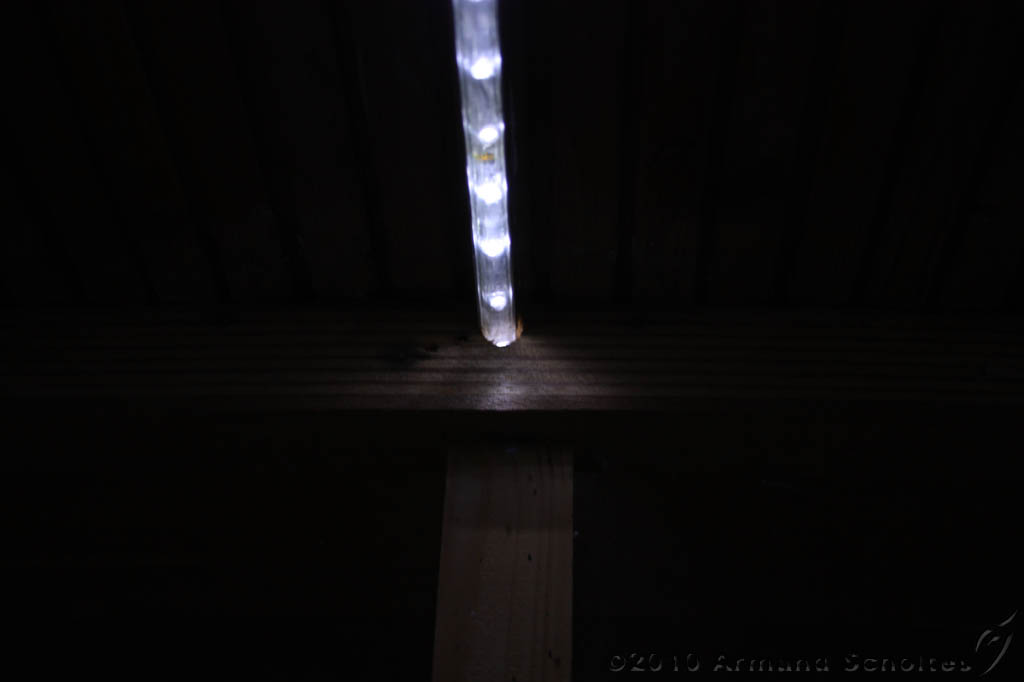 OccultFest2010_029.jpg