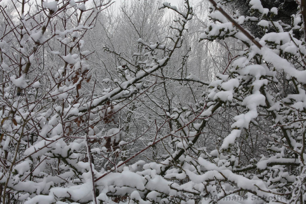 Winter_007.jpg