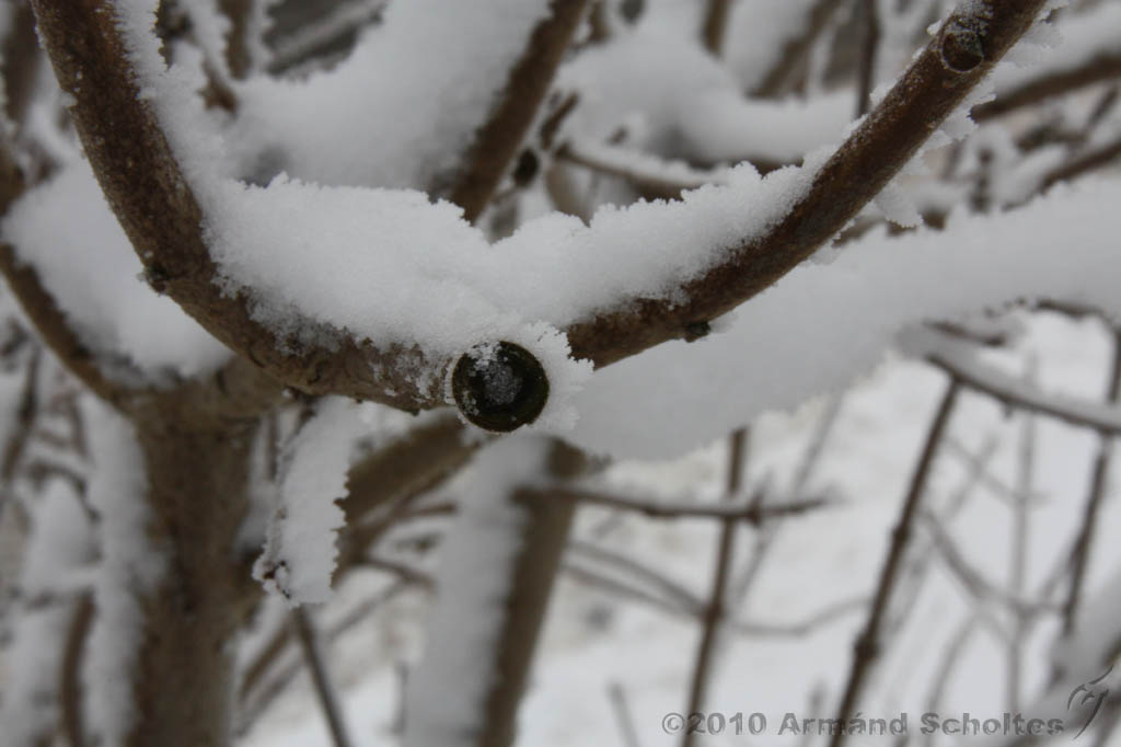 Winter_008.jpg
