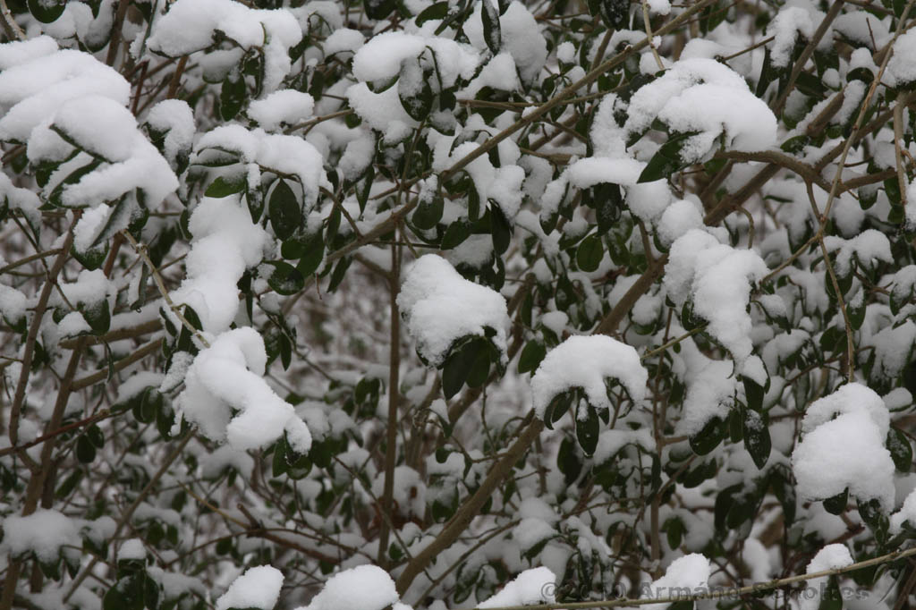 Winter_010.jpg