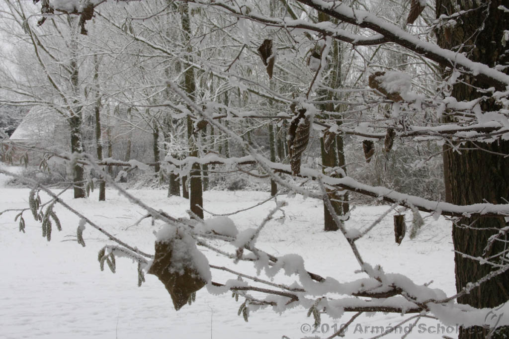 Winter_014.jpg