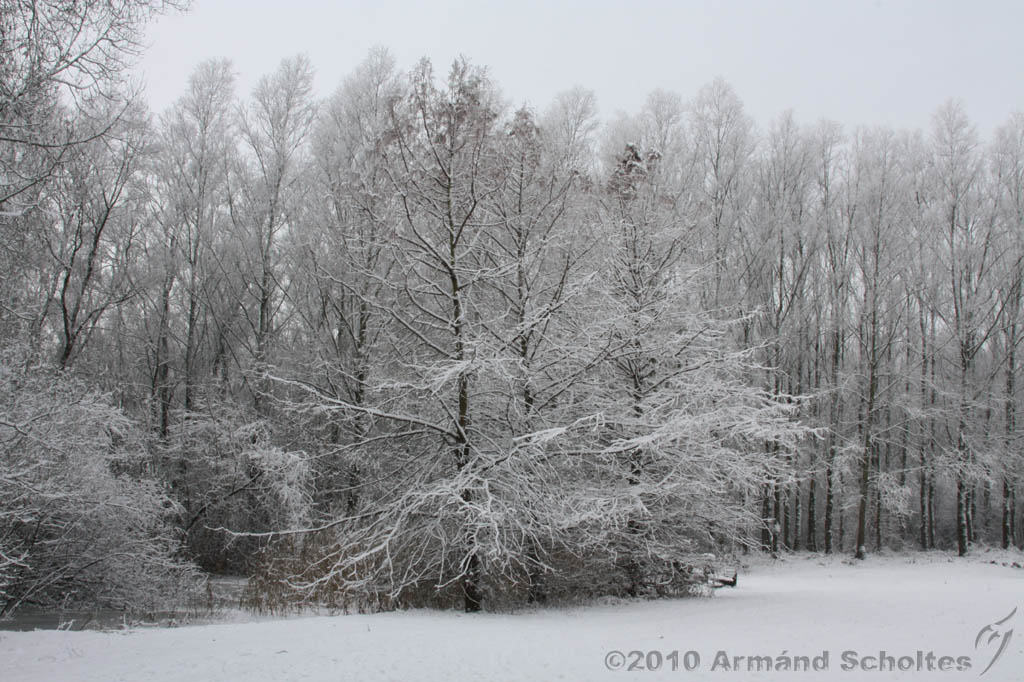 Winter_015.jpg