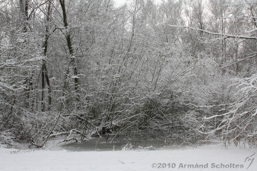 Winter_016.jpg