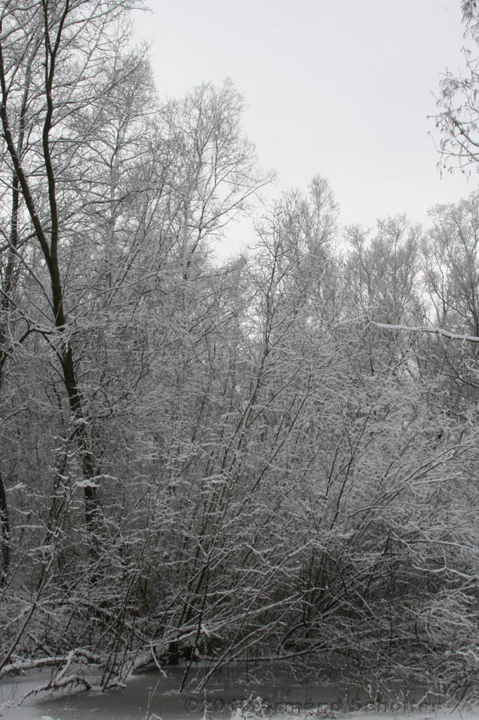 Winter_017.jpg