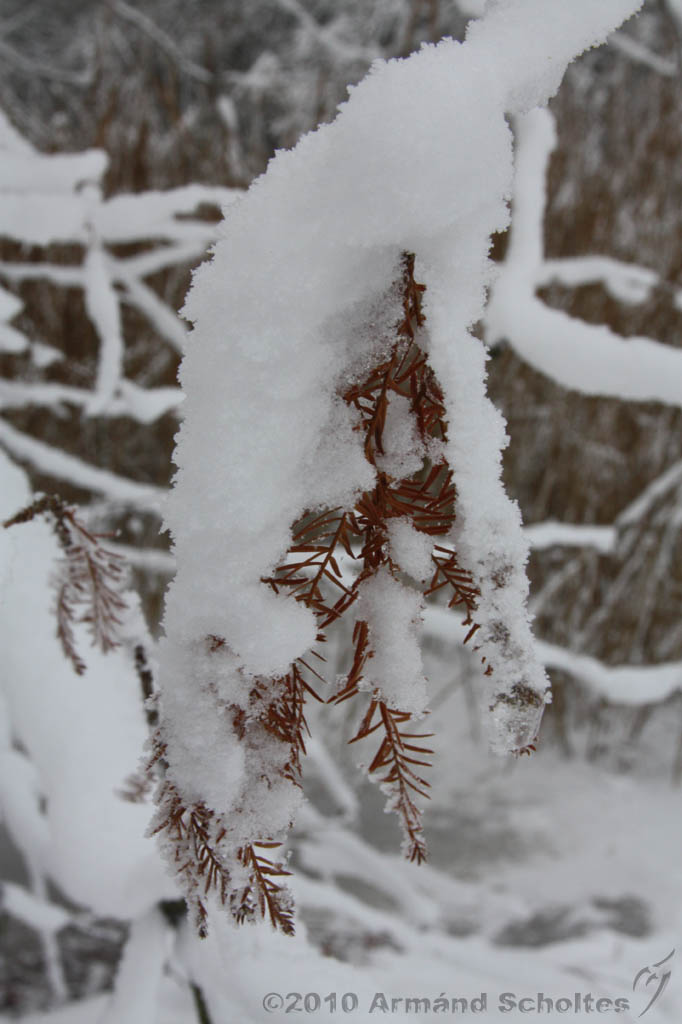 Winter_018.jpg
