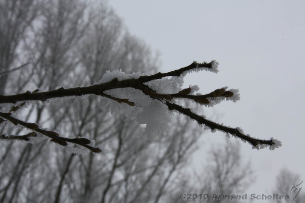 Winter_024.jpg