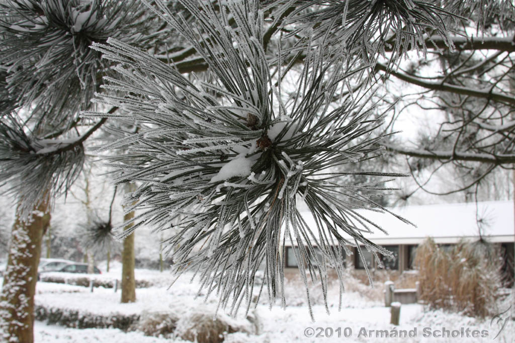 Winter_027.jpg