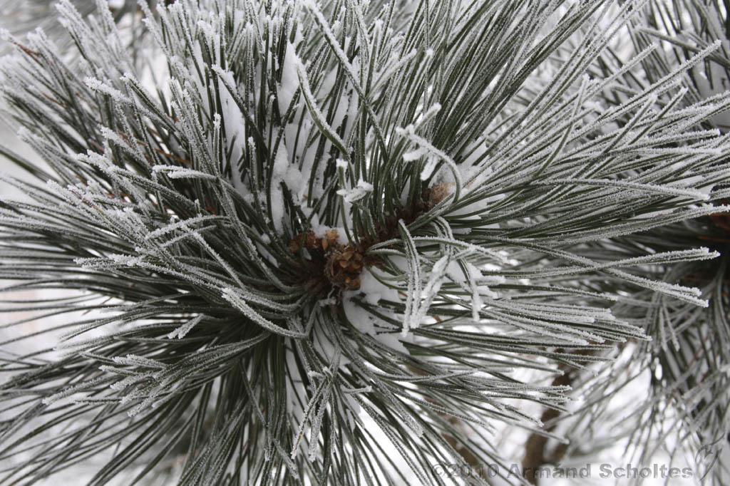 Winter_028.jpg