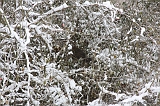 Winter_003