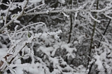 Winter_006