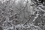 Winter_007