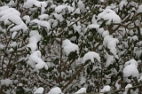 Winter_010