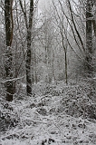 Winter_012