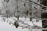 Winter_014