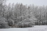 Winter_015
