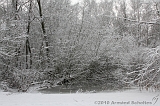 Winter_016