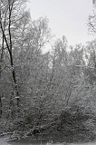 Winter_017