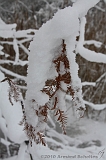 Winter_018