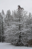 Winter_020