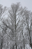 Winter_021