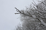 Winter_022