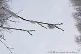 Winter_023