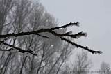 Winter_024