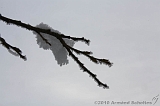 Winter_025