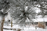 Winter_027