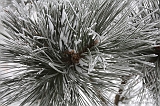 Winter_028