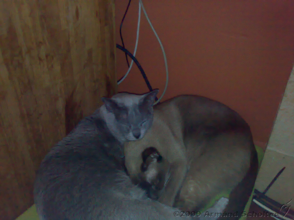 2010-01-10_Muts_en_toto.jpg