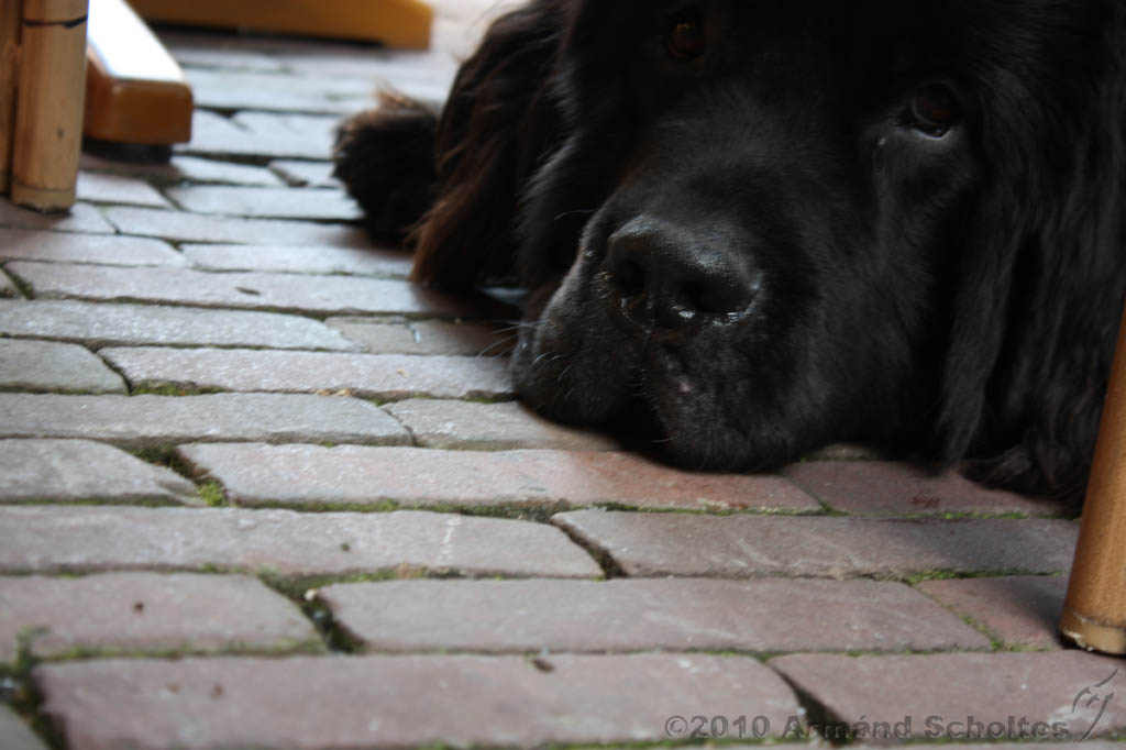 2010-05-05_Lobbes_001.jpg