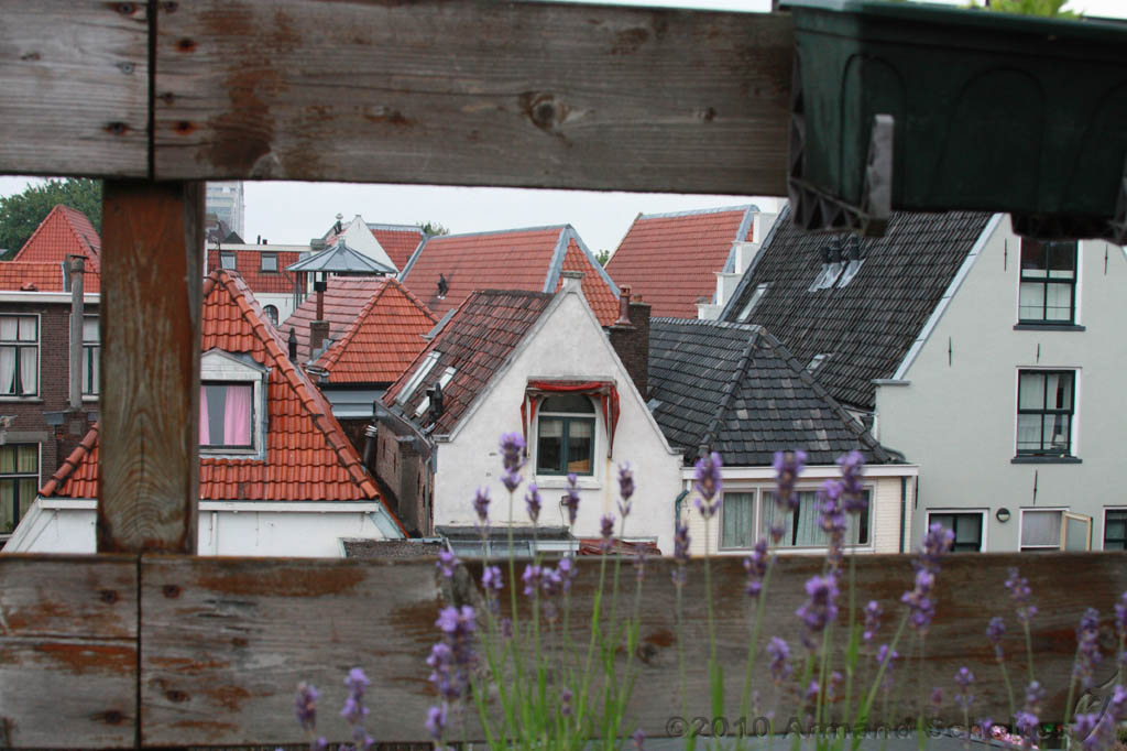2010-07-03_Deventer_Daken_002.jpg