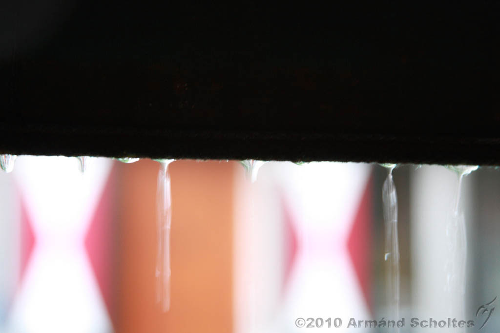 2010-07-03_Raindrops_000.jpg