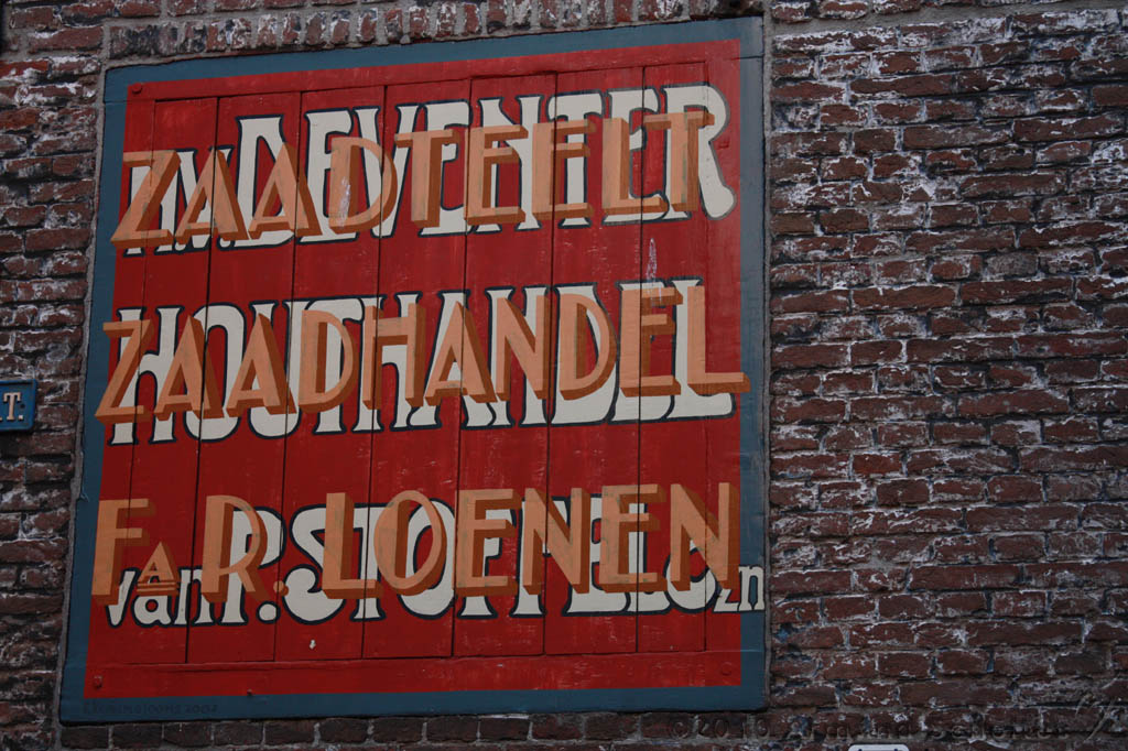 2010-07-10_Zaad.jpg
