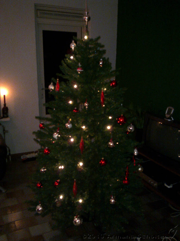 2010-12-12_XmasTree.jpg