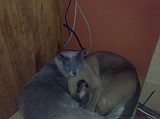 2010-01-10_Muts_en_toto