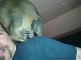 2010-01-30_KatOpSchouder_01