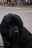 2010-05-05_Lobbes_003