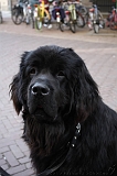 2010-05-05_Lobbes_004