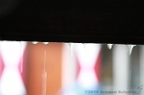 2010-07-03_Raindrops_001