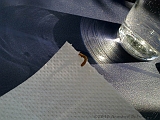 2010-08-14-Worm_01