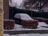 2010-12-09_SnowSmiley