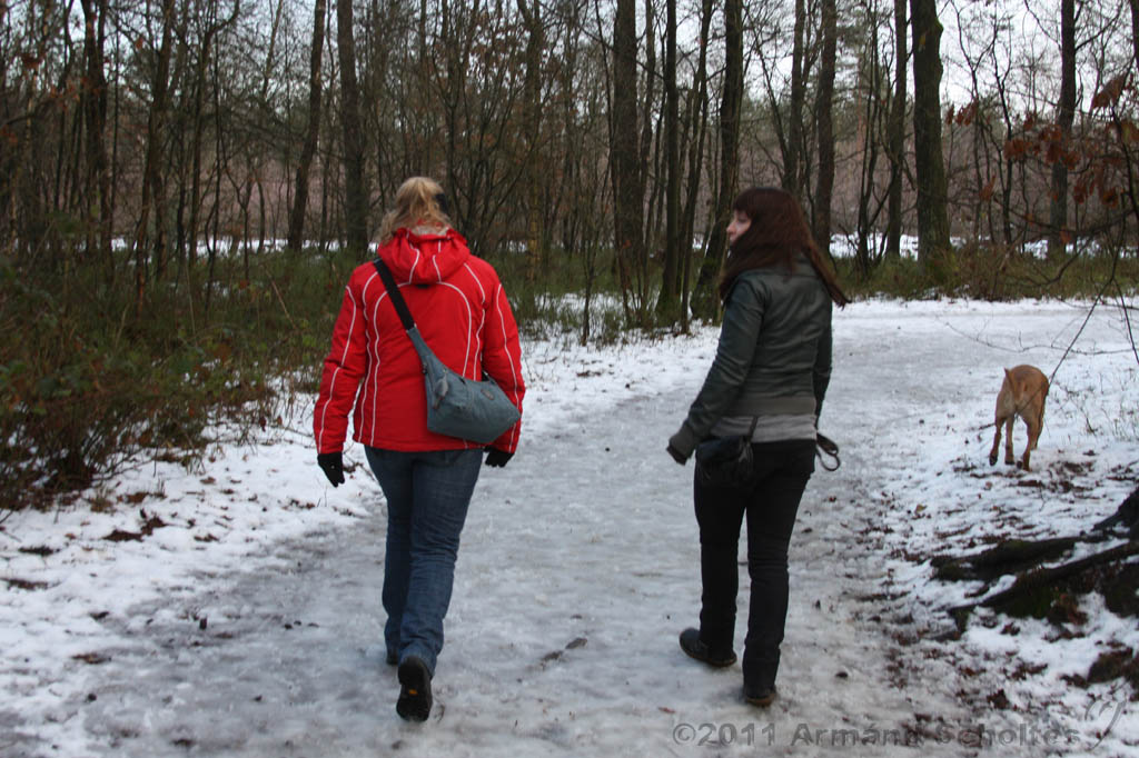 Nieuwjaarswandeling_2011_001.jpg